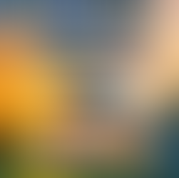 Are You Properly Insured?