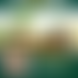 Start SIP Today – Secure Tomorrow