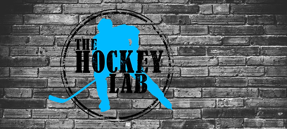 brickhockeylab.jpg
