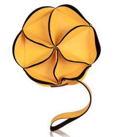 צילום אקססוריז - תיק