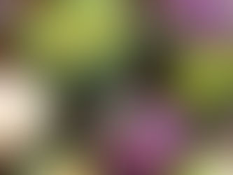 Roasted Romanesco Cauliflower