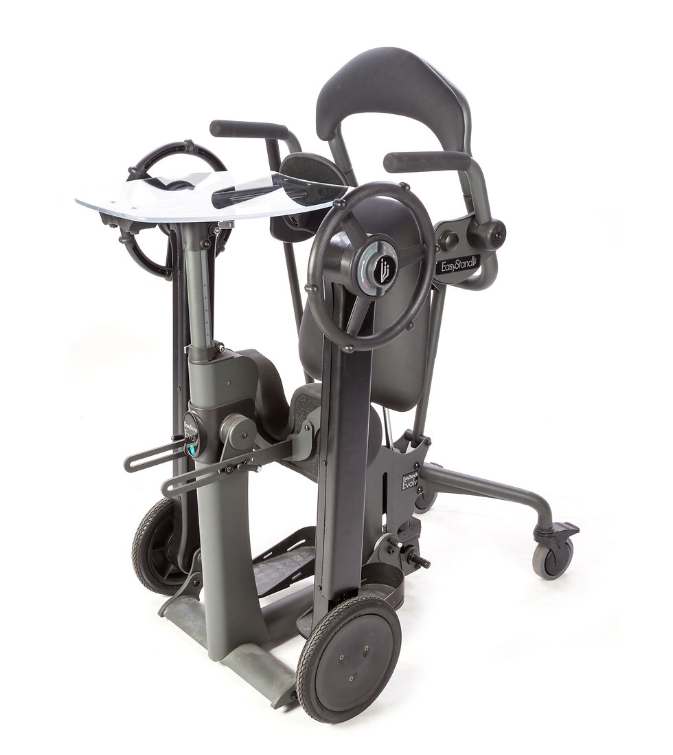 Thumbnail: Sit to Stand stander