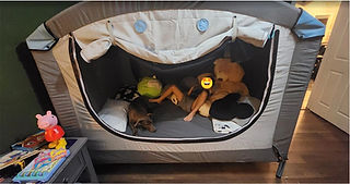WONACE Medical Supply cubby bed review