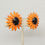 Thumbnail: Vintage Signed Napier Book Piece Orange & Black Daisy Clip Earrings