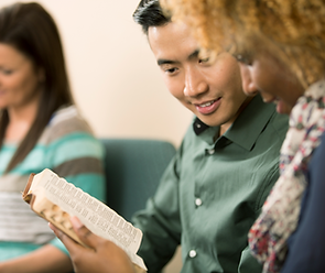 Group Reading Session