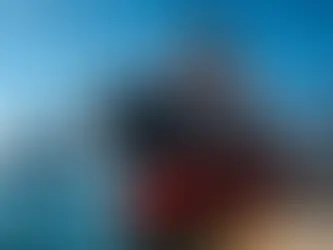 The New Generation of Shipyards in the Gulf of Mexico