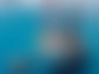 Why the Gulf of Mexico is strategic for ship repair