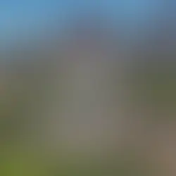 Alberta drives new pipeline to diversify oil exports