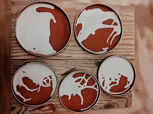 aviary-image-1602898913689 (1).jpeg