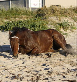 WhatsApp Image 2025-12-16 at 3.44.27 PM (1)