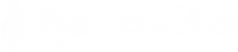 Bella Vita Landscape Constructon white text logo. 