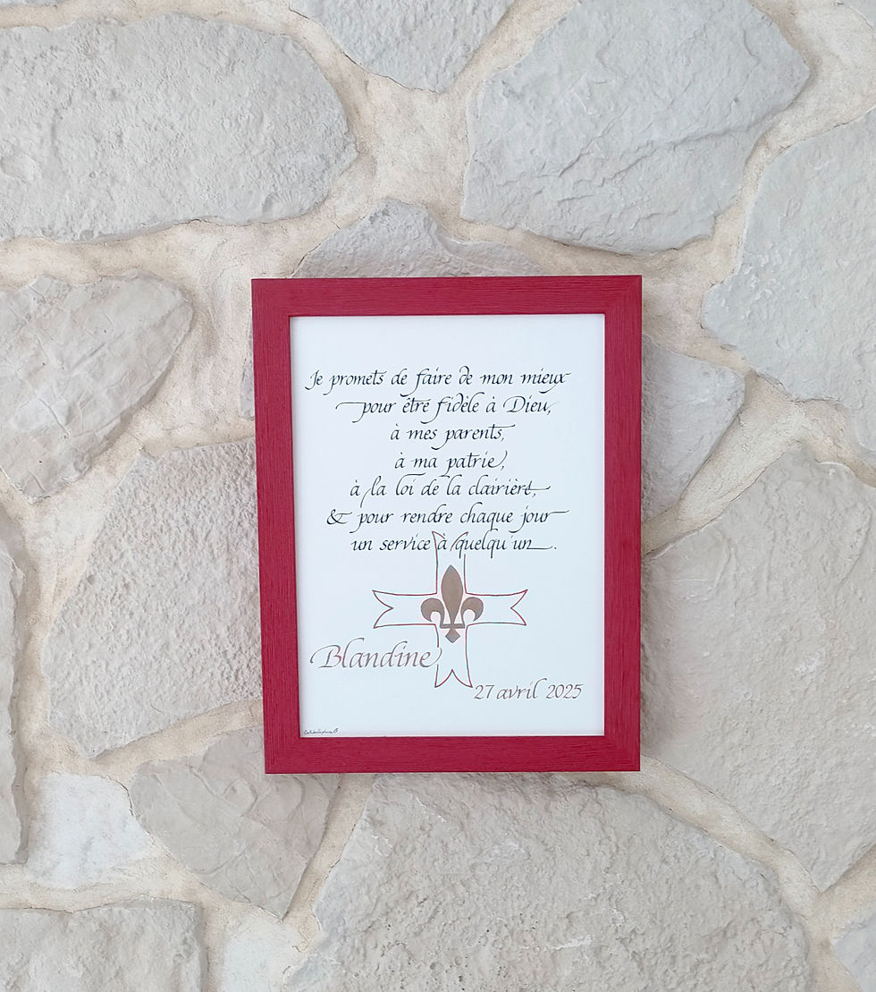 Miniature : Promesse des louveteaux et louvettes