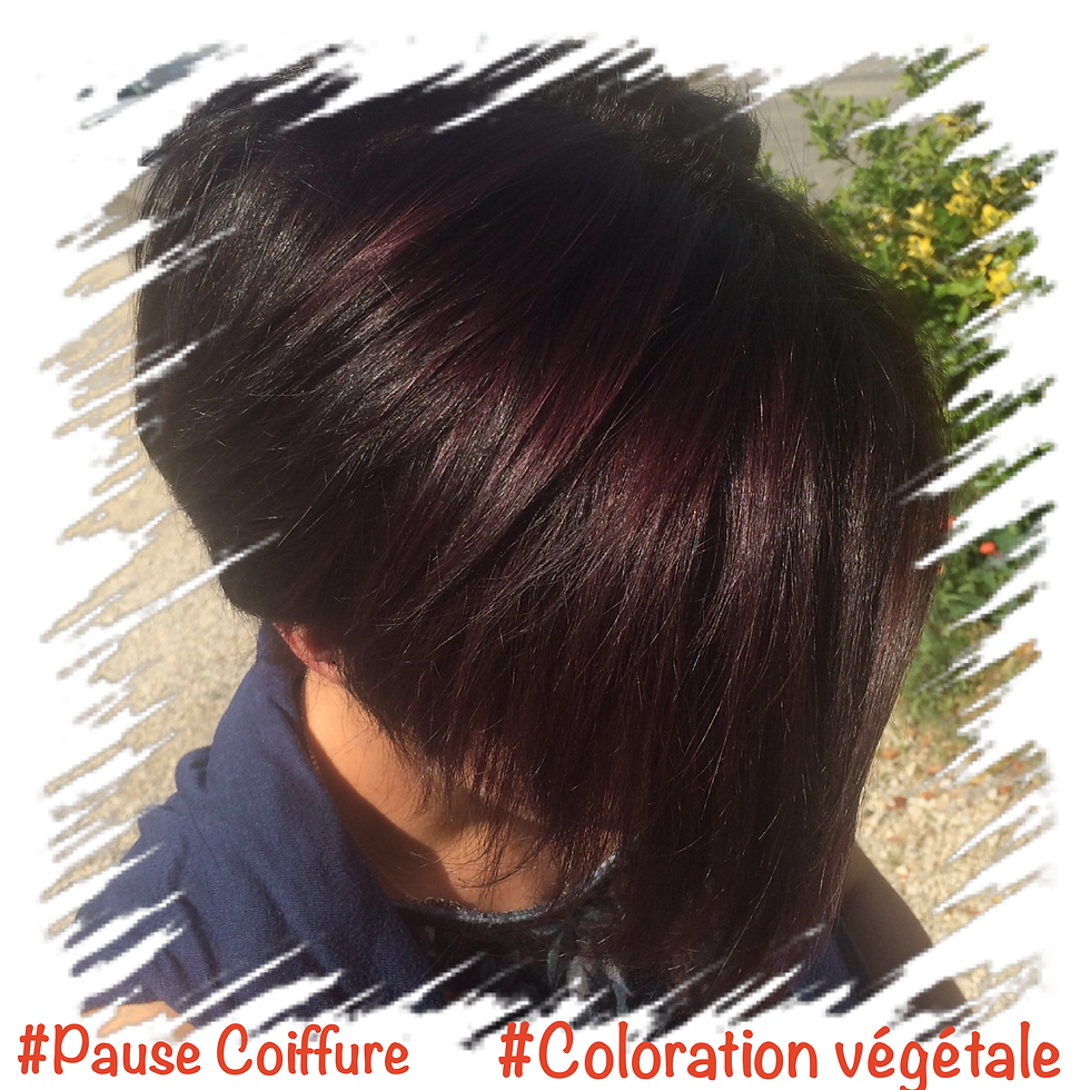 coloration végétale