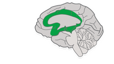 Universal Design for Learning (UDL)