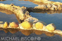 FB-saltpan-reflection