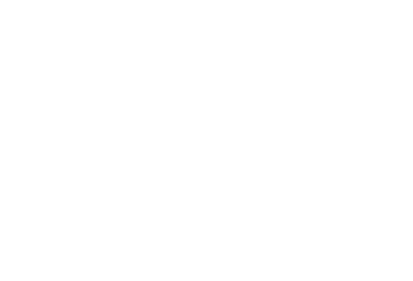 blumenzeit_logo_weiss.png