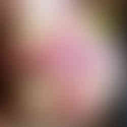 Bridesmaids bouquet with pink peonies, tulips and ranunculus and white roses.