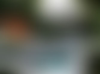 The Outdoor Wellness Revolution: Bringing Luxury Resort Amenities to Toronto Backyards