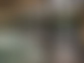 Elevated Outdoor Living: How The Northstone Group Is Redefining Luxury Pools, Landscape Architecture, and Wellness Design in Canada