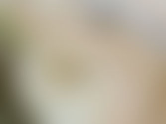 Houston Wedding Planner Engagement