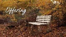 BENCH OFFERING.jpg