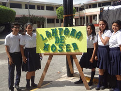 Lampara de Moser (3).JPG