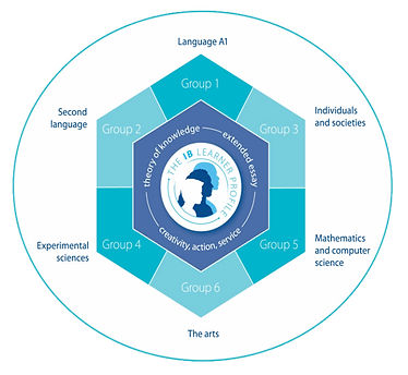 DP subject groups all offered by IB tuition here at International Elites Academy by experienced IBDP tutors