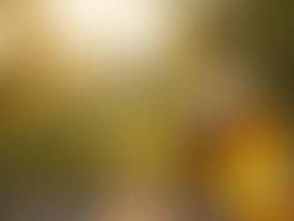 Aceite de Oliva D.O.P. Tuscan: Un Tesoro Gourmet