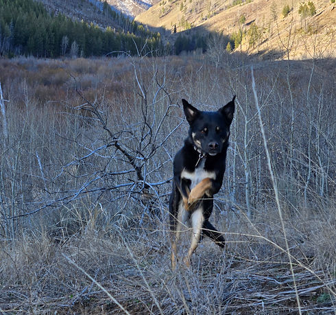 20260322_084551_edited.jpg