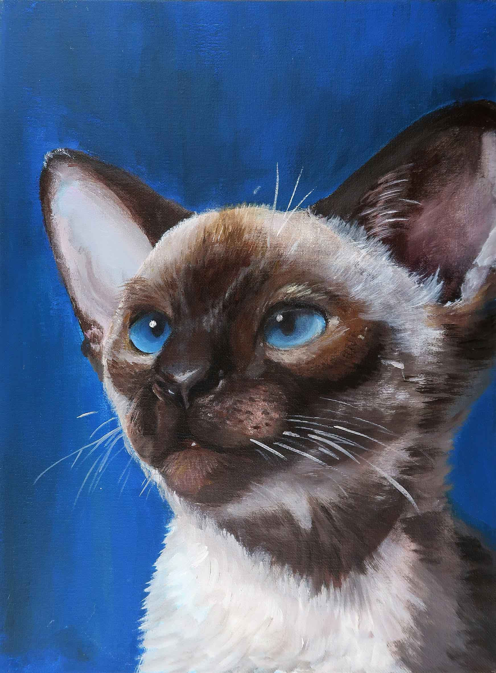 鄧智珊	DENG CHI SHAN