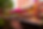 gallery-41-1200x800.png