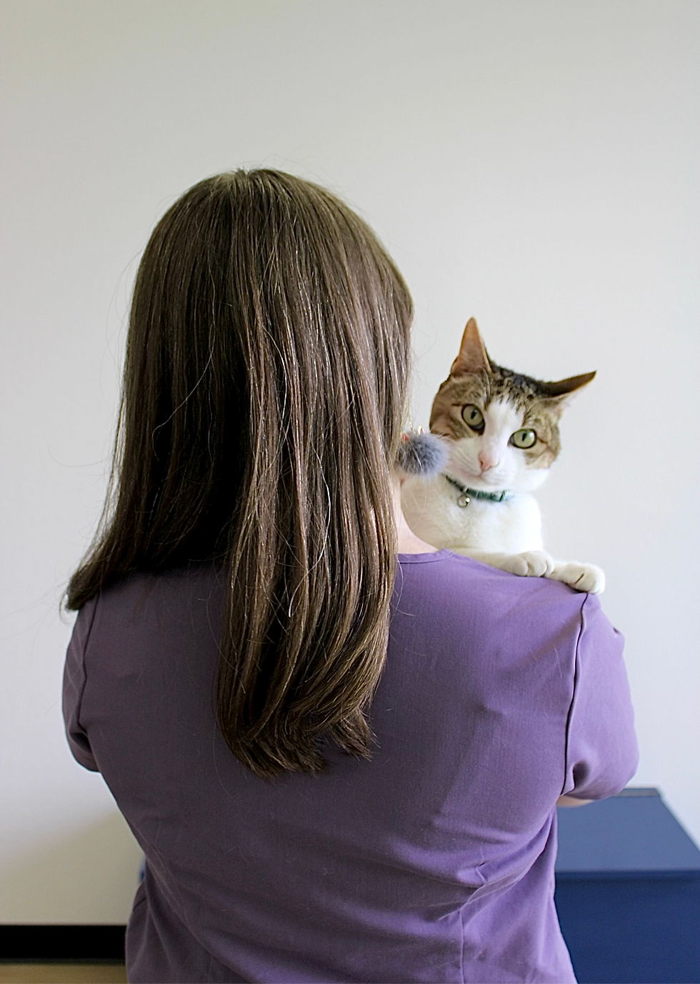Groomer facing away from camera, cat on shoulder looking at camera