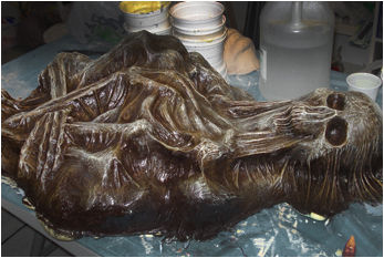 Prop Rígido