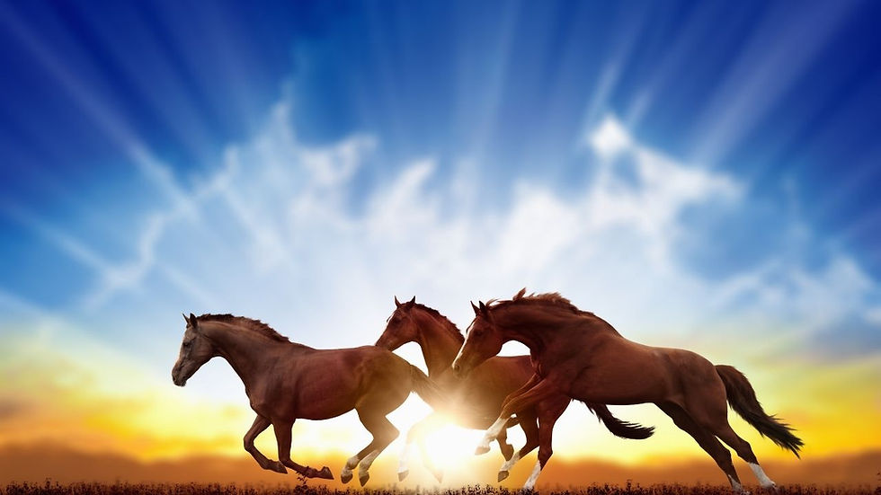 2026年の干支「午年」を象徴するイメージ画像。まばゆい日の出の太陽光線に向かって、3頭の茶色の馬が力強く草原を疾走している様子。「丙午(ひのえうま)」の飛躍とエネルギッシュな未来を表現。