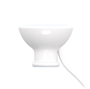 Urinary Front.png