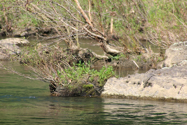 Creek_03.JPG