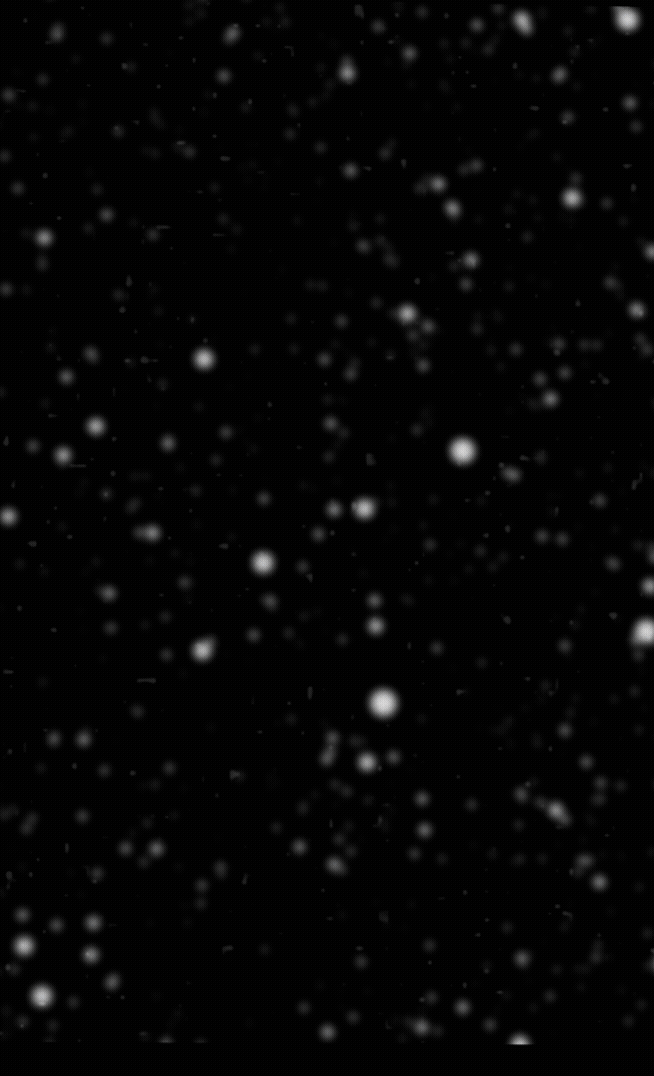 Beginning  2.gif