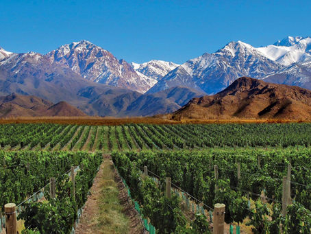 Destination Wedding - Mendoza