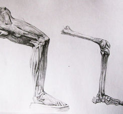 Learn to Draw Human Figure