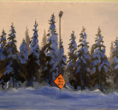 Art Classes for Adults San Rafael