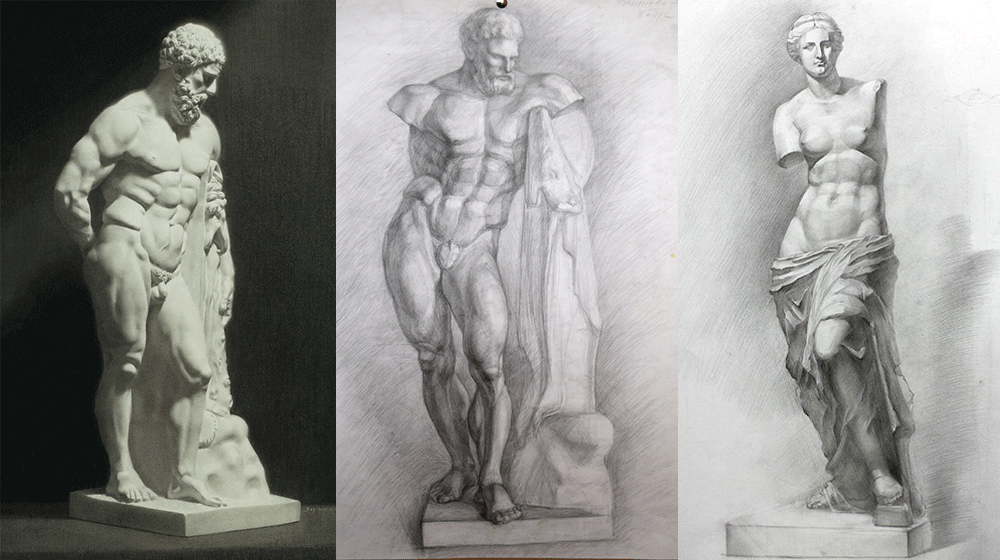 Anatomy Drawing for Medical Students