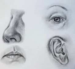 Learn to Draw Portrait in San Rafael