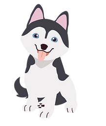 pet waste removal 78660