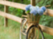 Countryside Bike Ride