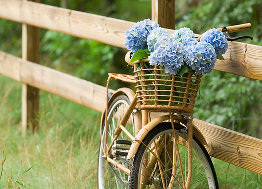 Countryside Bike Ride