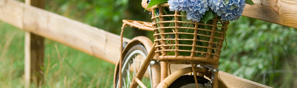 Countryside Bike Ride