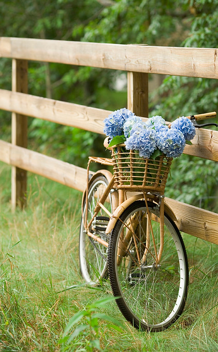 Countryside Bike Ride