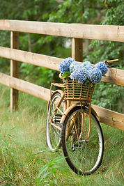 vélo avec panier et bouquet de fleurs champêtres