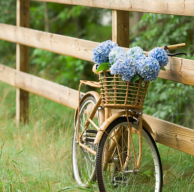 bike hire, bicycle hire, bicycle rental, bike rental, rent a bike in Edinburgh