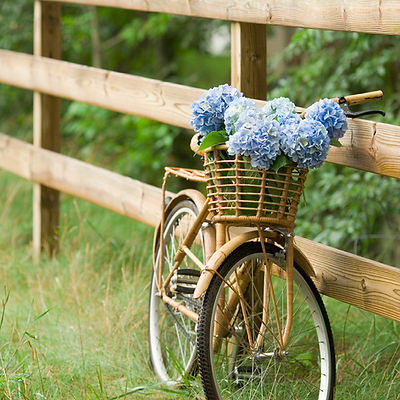 Campagne Bike Ride